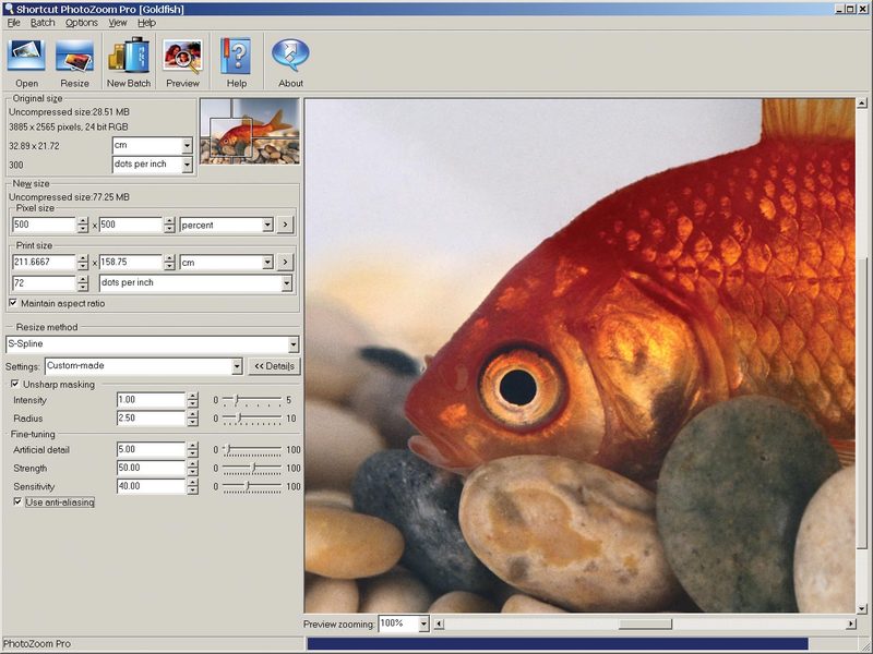 Shortcut PhotoZoom Professional Screenshot